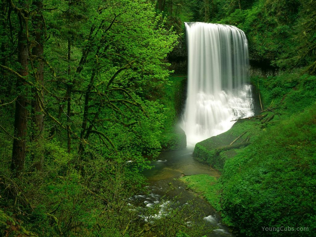 Middle North Falls, Silver Falls State Park, Oregon